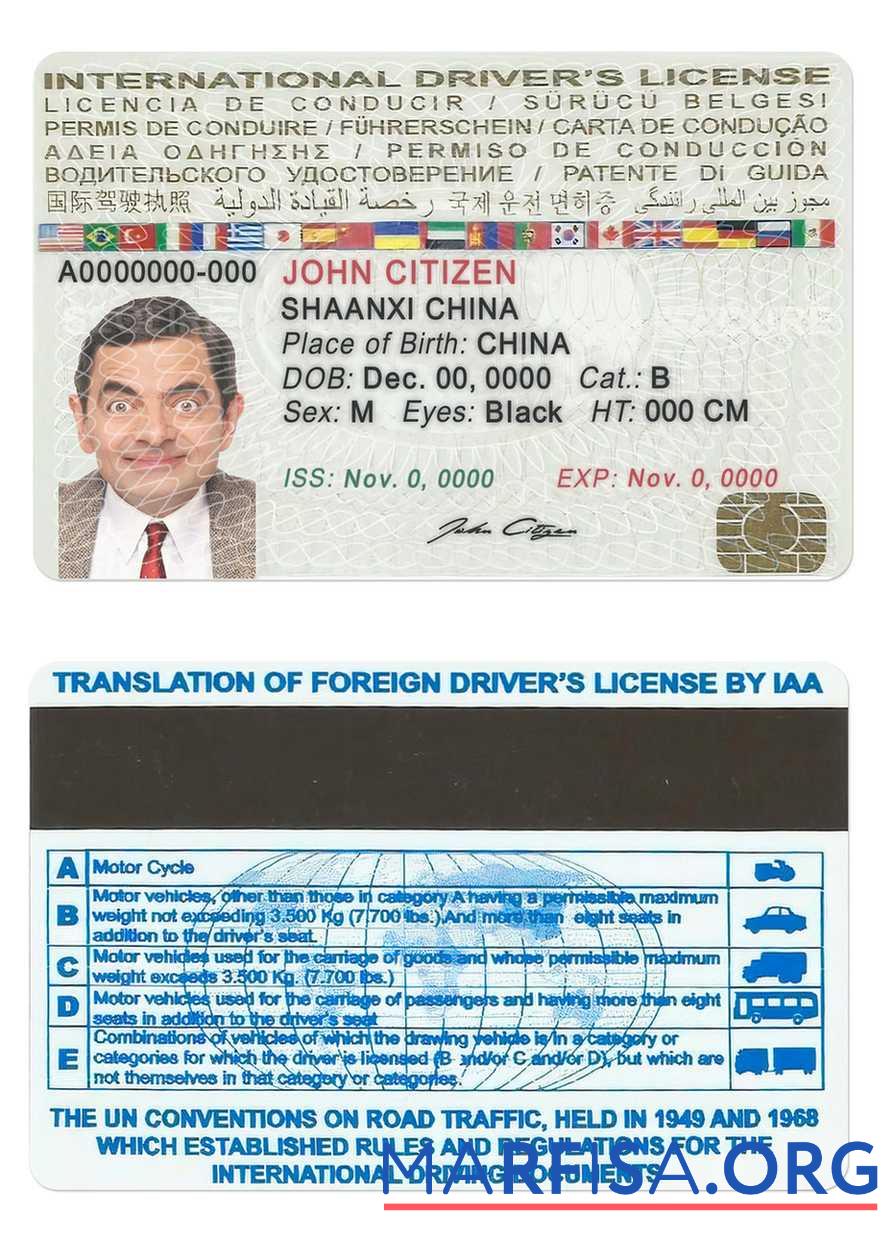 Downloadable International driver’s license real example